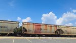 CITX 151862